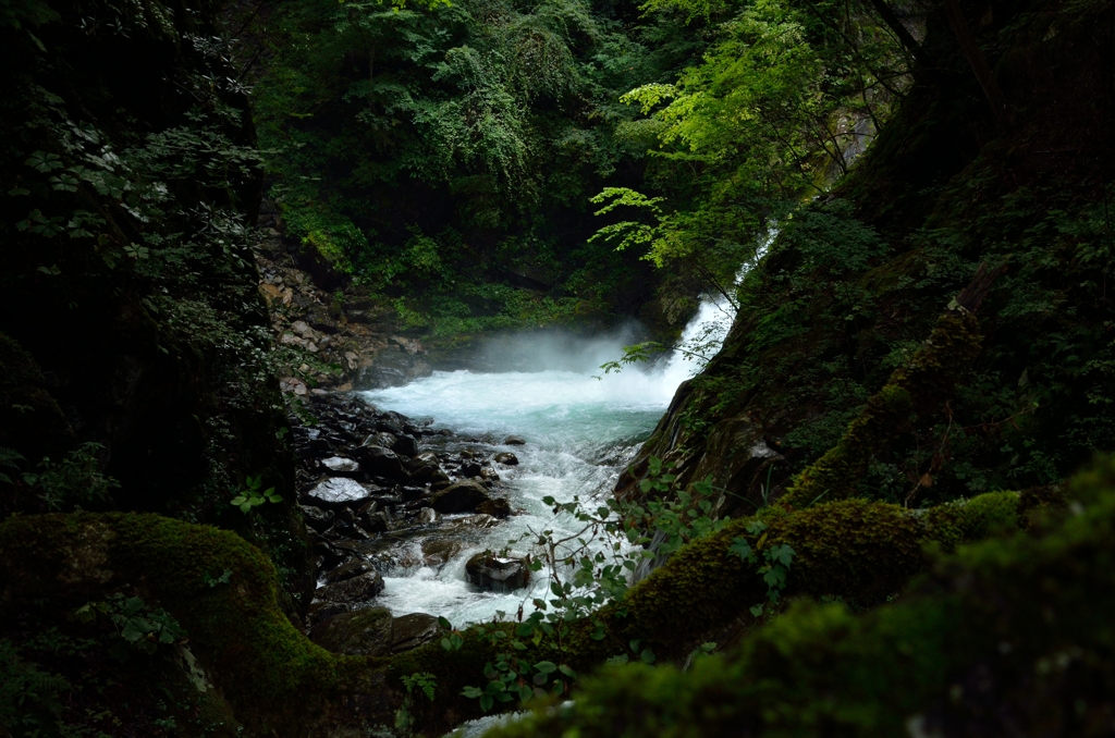 秘密の泉