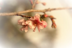 城跡からその６！