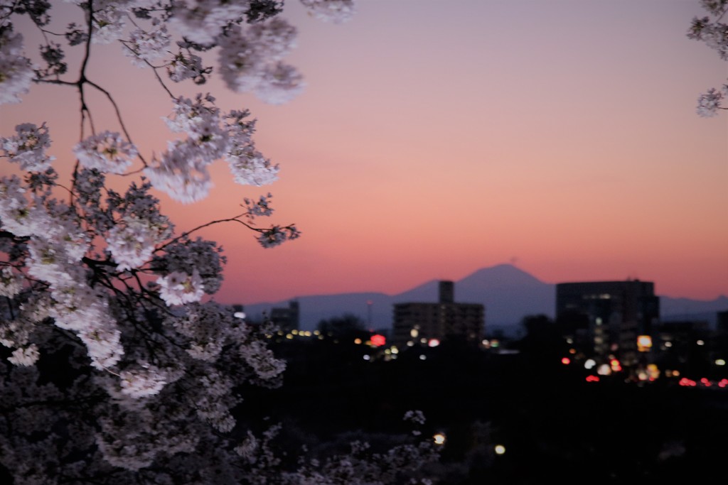 前橋公園から