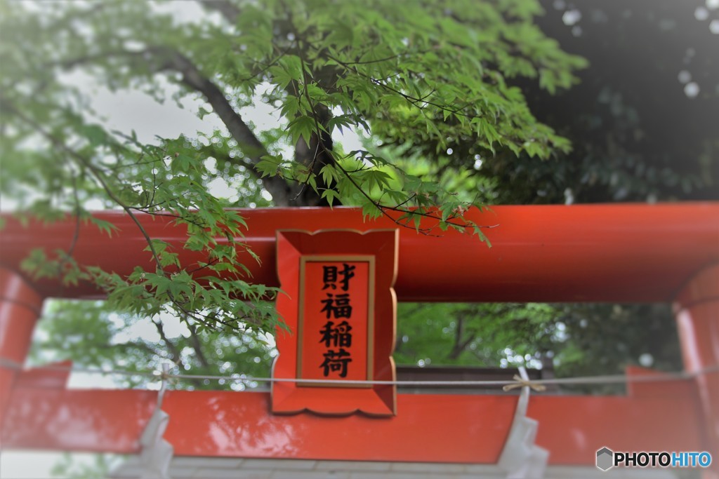 散歩３