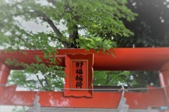 散歩３