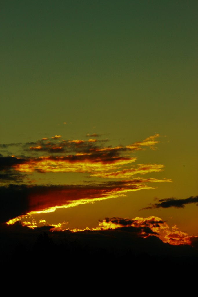 １２．２３．夕雲。