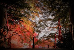 山門からの景色！