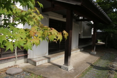 さんぽ９