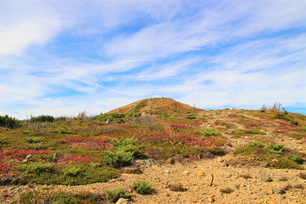 入山禁止