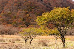 榛名山さんぽ３．