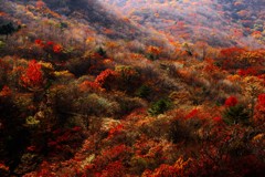 IMG_5889