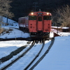 今年は沢山積もりました