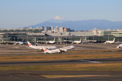 羽田のよくある風景⑤