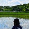 苗、育ってるわ～