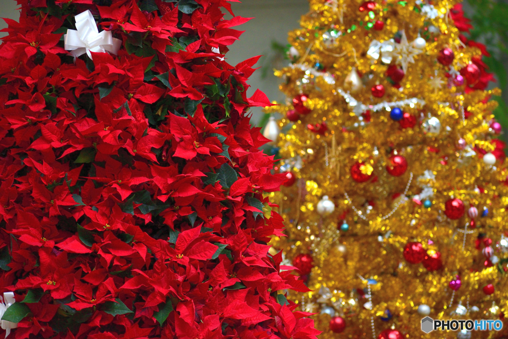 Christmas tree