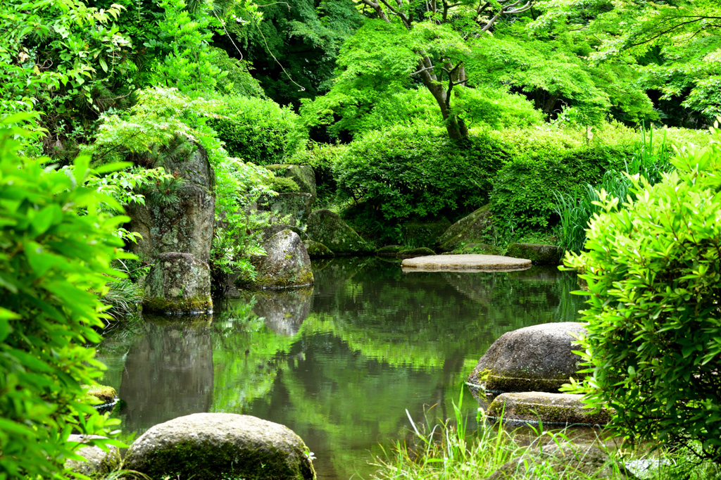 芹ヶ谷公園大池