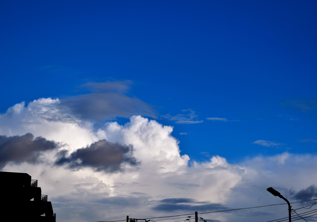 梅雨去りて　大空青く　白映ゆる