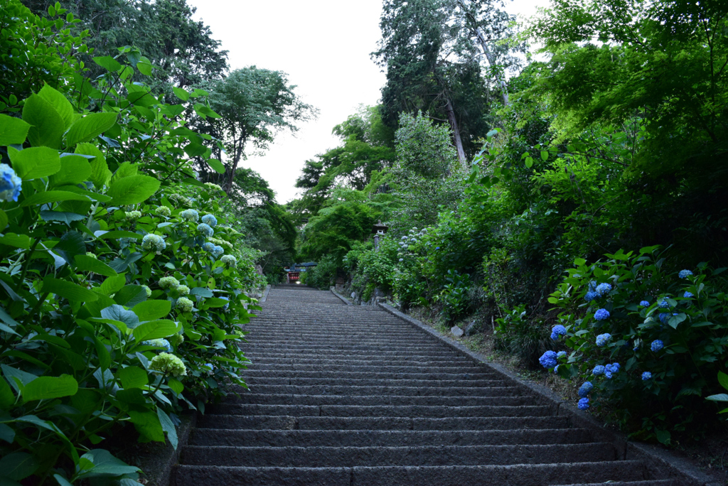 太平山神社参道