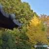 秋深まれり１