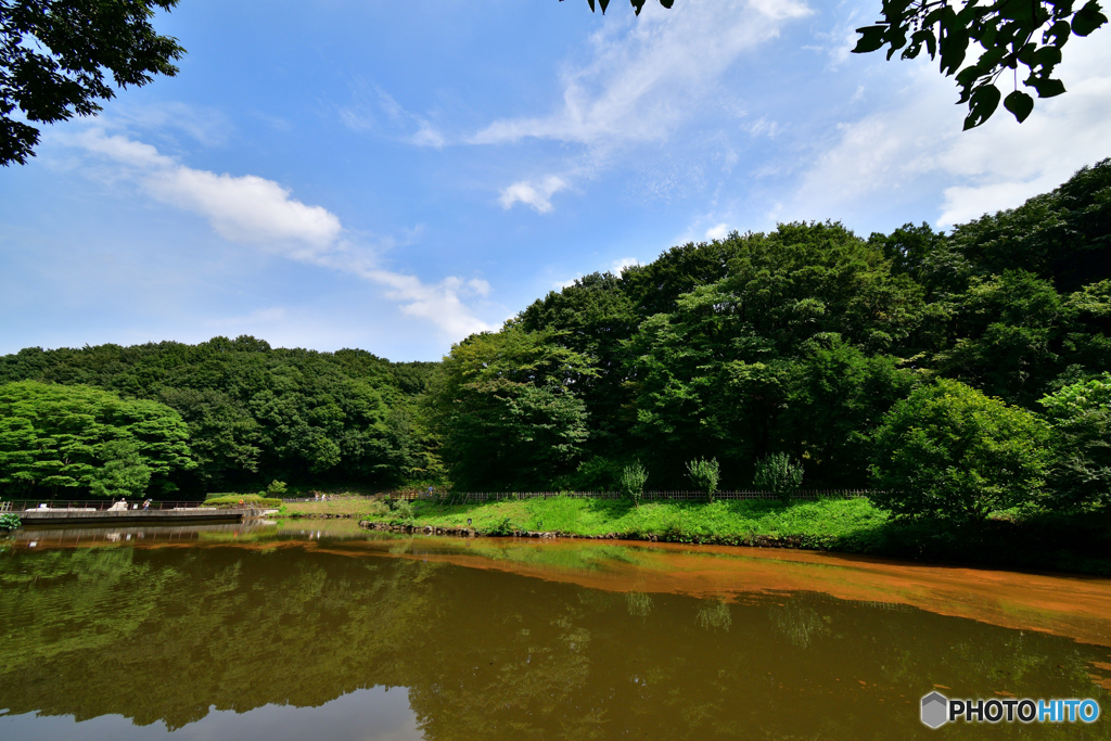 過ぎ行く葉月　空は青く・・・１