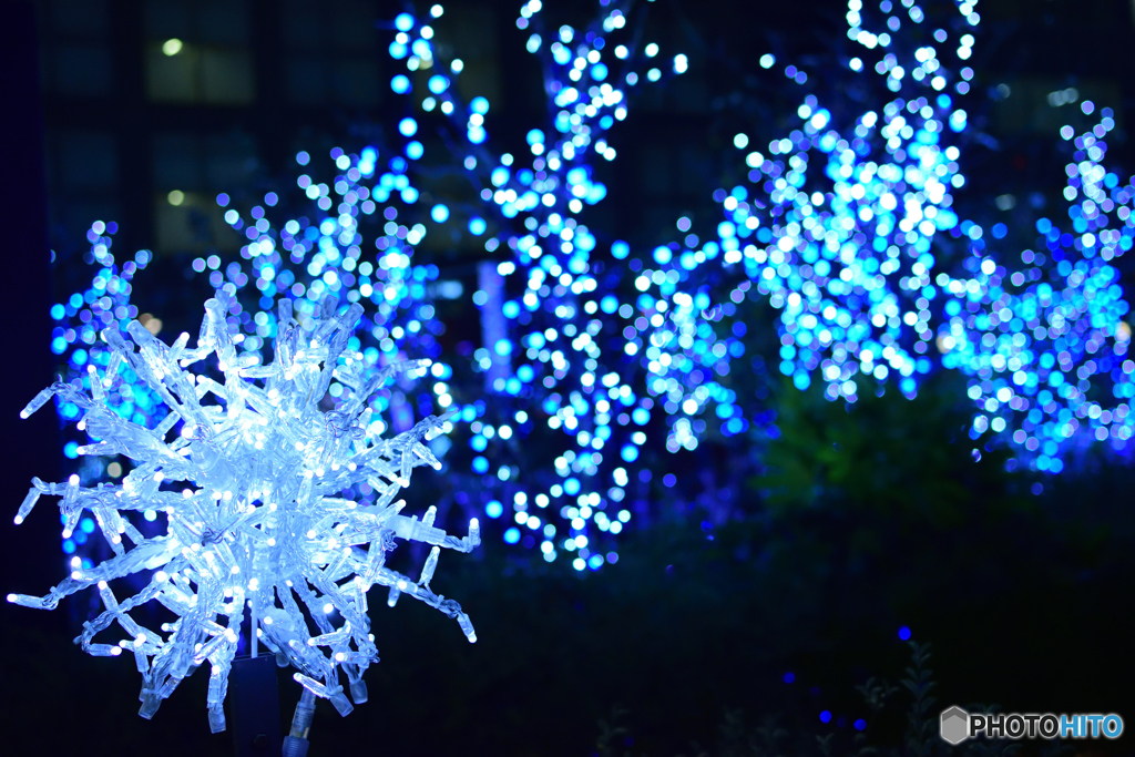 SHINJUKU ILLUMINATION 2