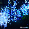 SHINJUKU ILLUMINATION 2