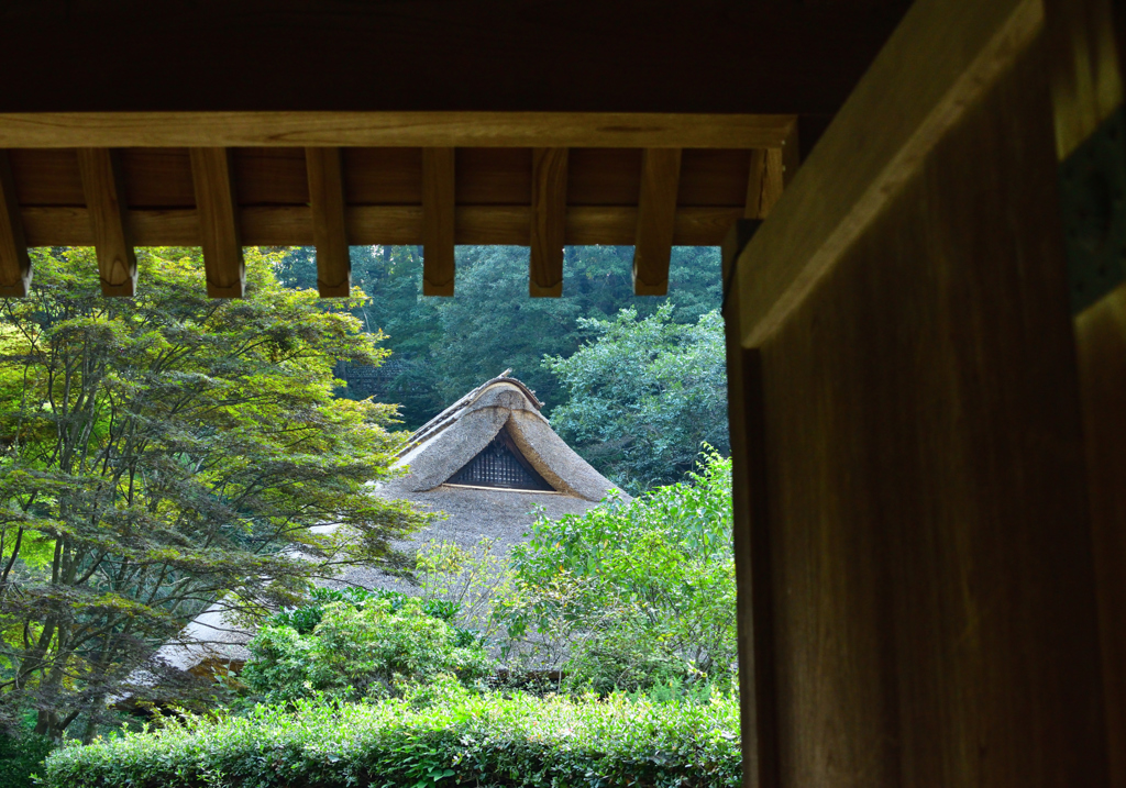 茅葺屋根