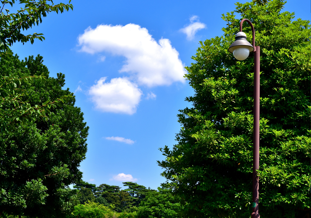 ありふれた夏空