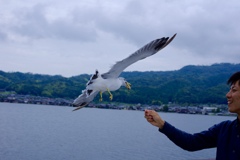 かっぱえびせんを捉える!!
