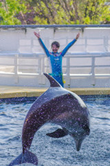 イルカァ
