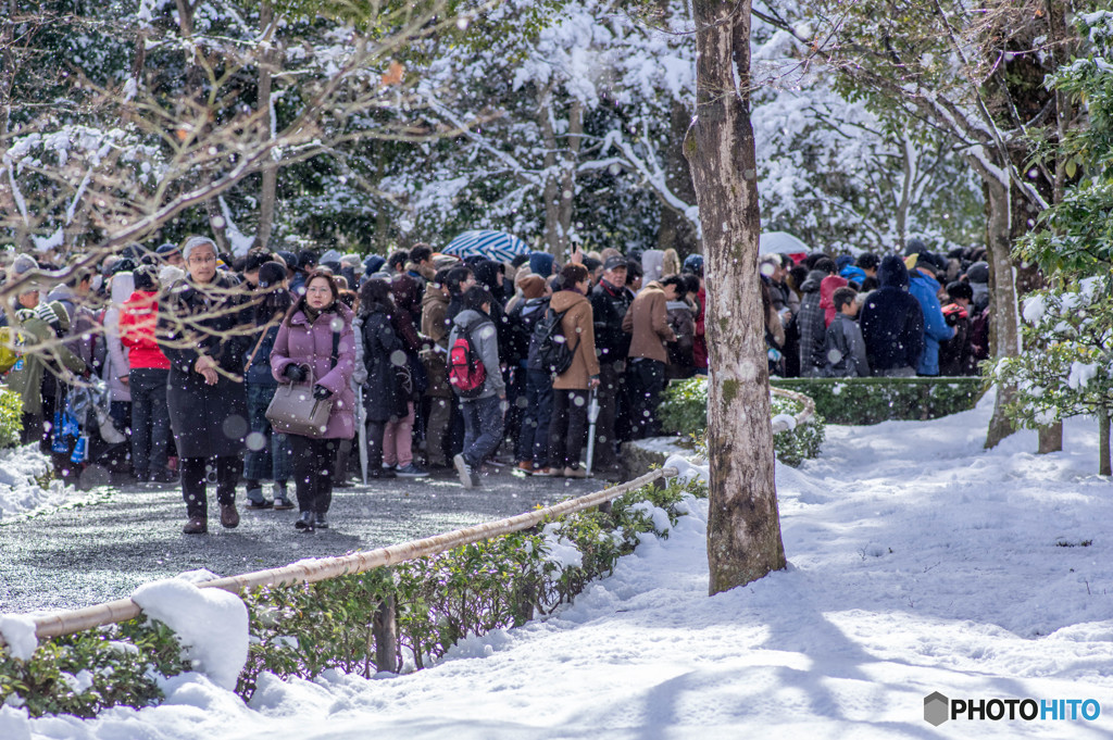 金閣寺 雪化粧 行列がすごい