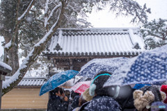 金閣寺 拝観への道のり