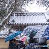 金閣寺 拝観への道のり