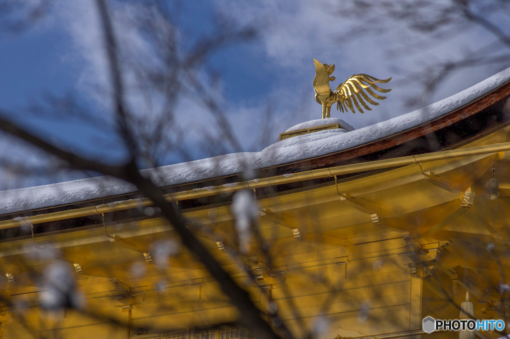 金閣寺 てっぺん 雪化粧