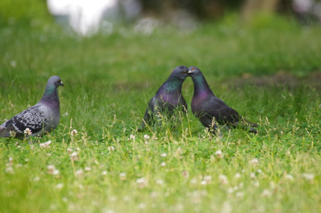 何しているのかなー？
