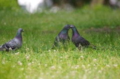 何しているのかなー？