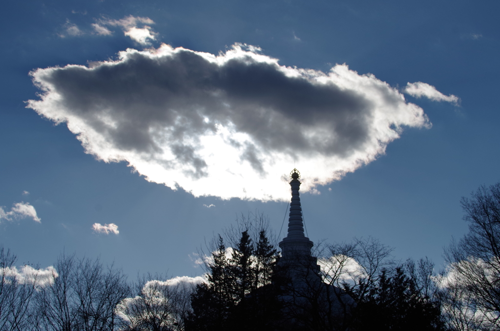 フグみたいな雲だ！