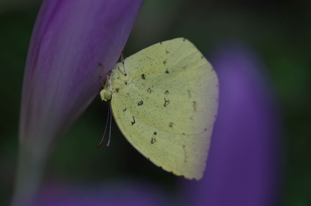 まだねむいな～