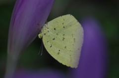 まだねむいな～