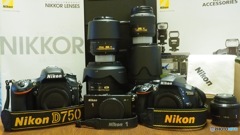 Nikon好き。