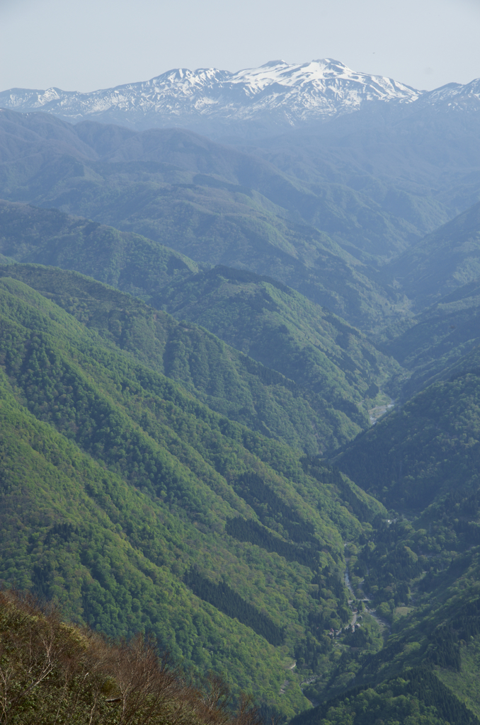 新緑と白山_Fresh green and Mt.Hakusan