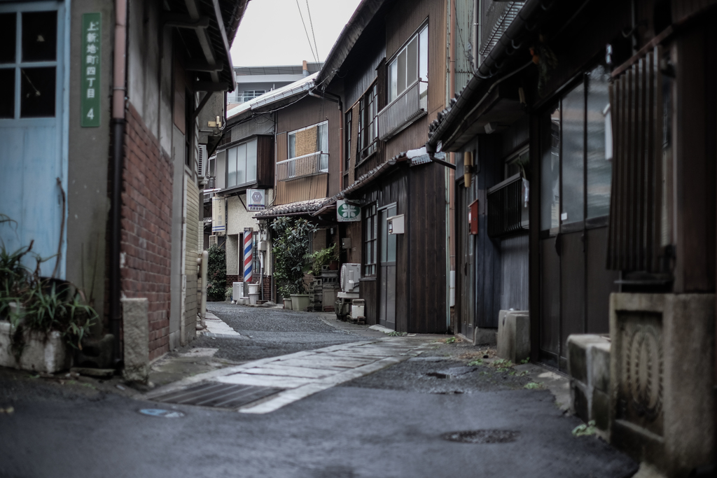 新地