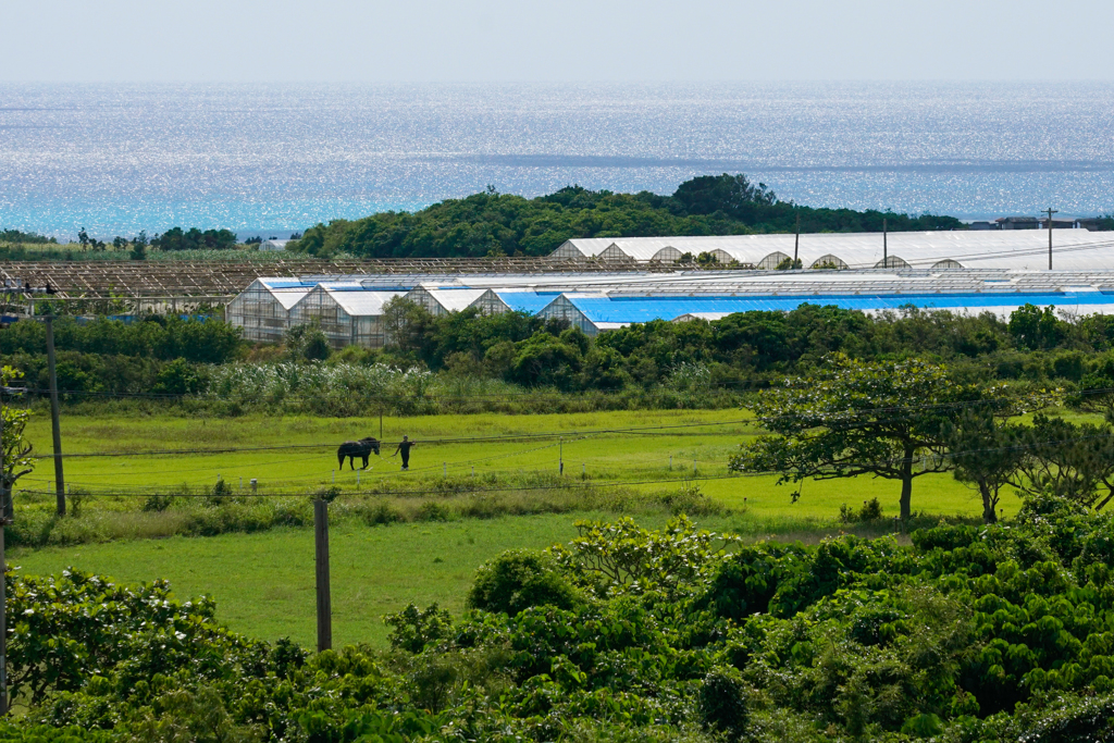 来間島