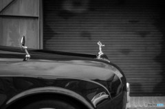 ＧＬＩＯＮ　ＭＵＳＥＵＭ