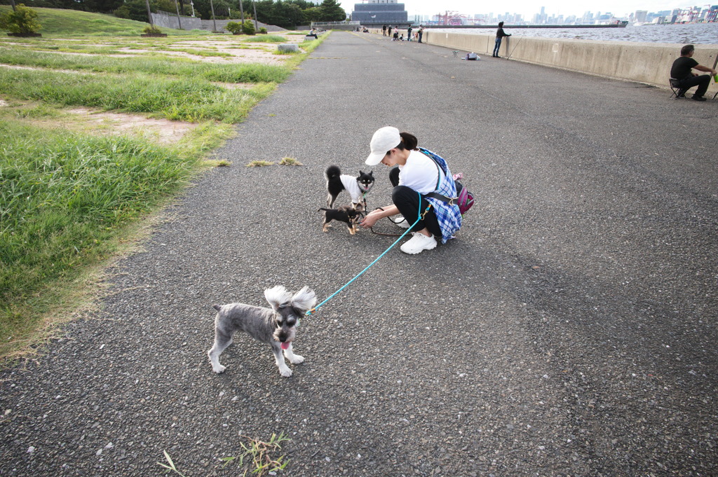 城南島海浜公園