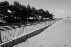 城南島海浜公園