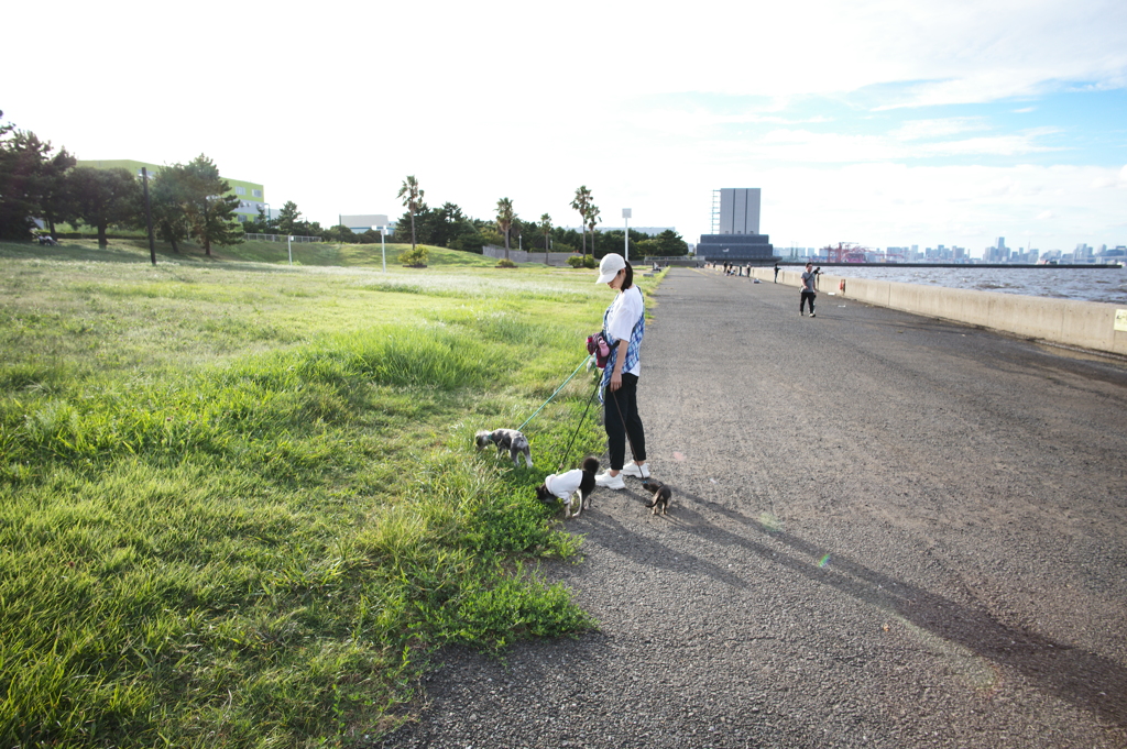 城南島海浜公園