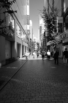 新宿の路地