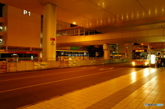 那覇空港 バスターミナル
