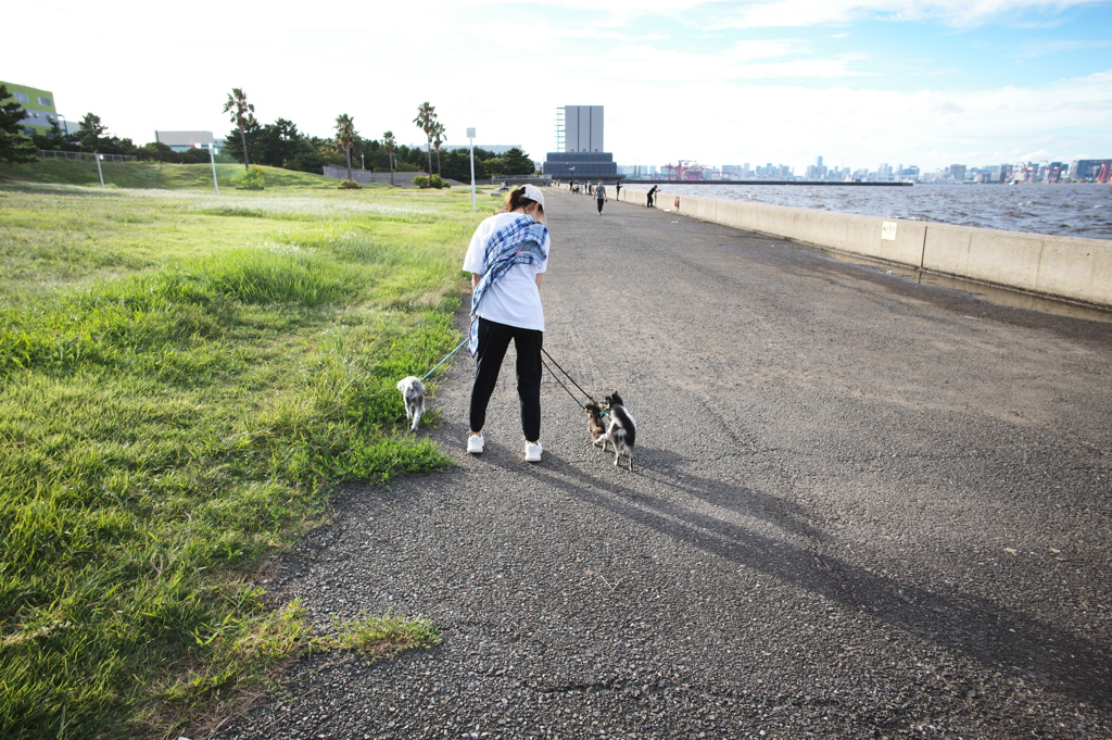 城南島海浜公園