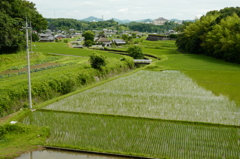 田園風景
