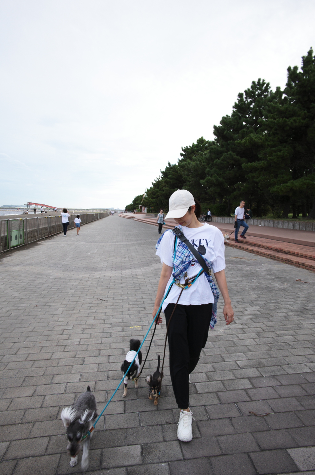 城南島海浜公園