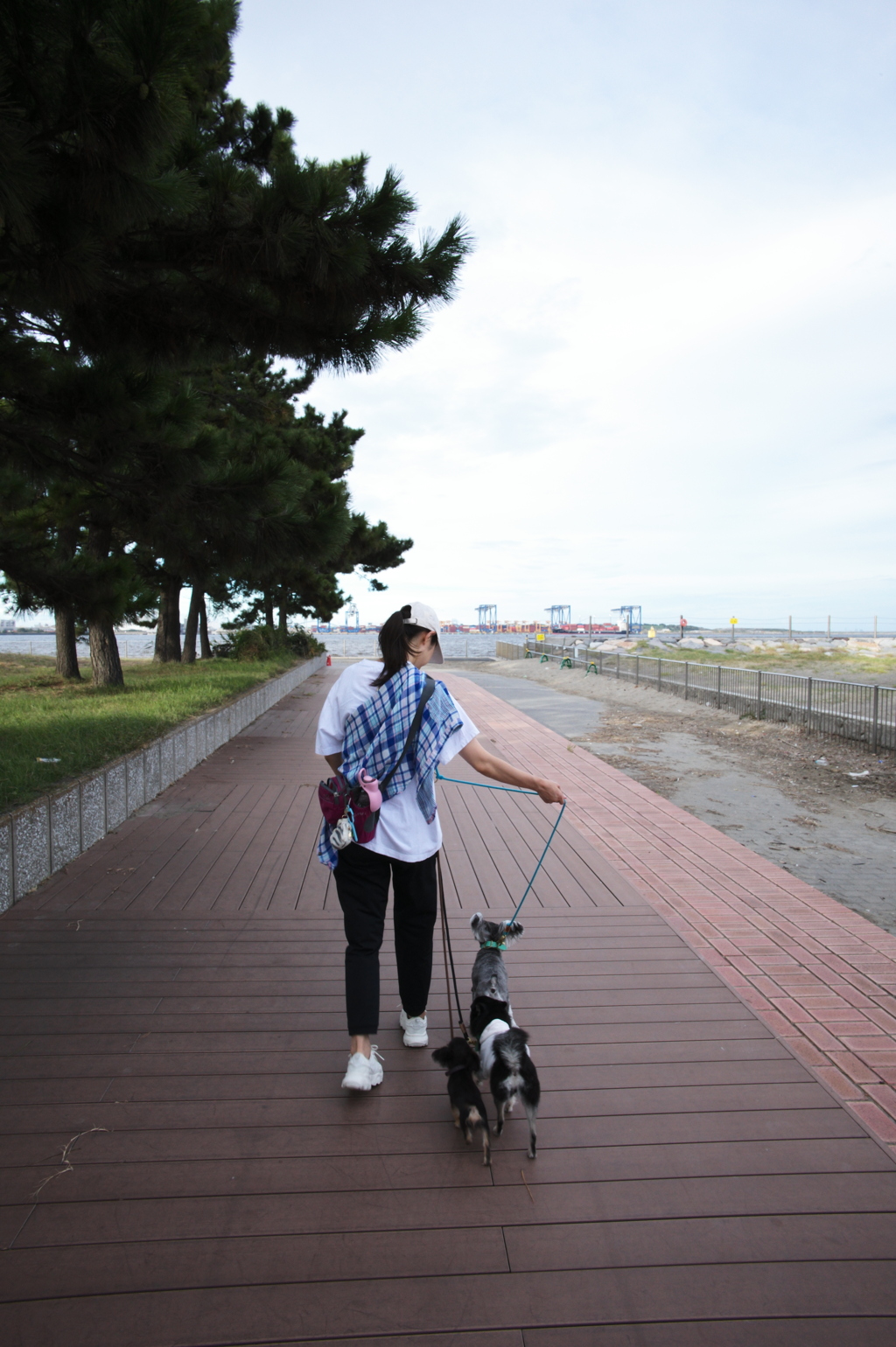 城南島海浜公園