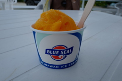 BLUE SEAL